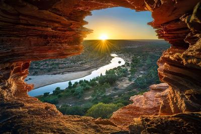 Natures Window